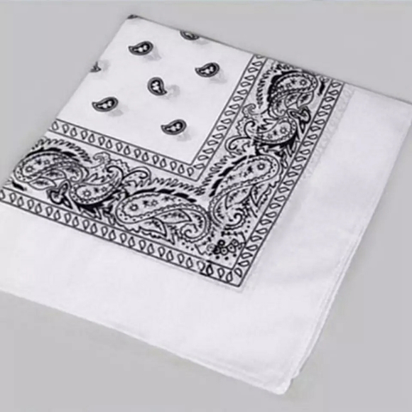 Paisley bandanas 3 PC's /set - Picture 11 of 16